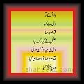 Mubashar Betay lahmon 01 * 22.03.2008 * 374 x 920 * (40KB)